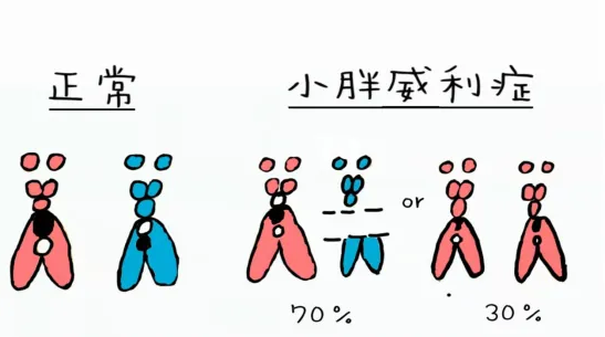 28341_te6k_1606.png