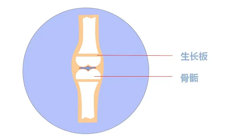 39580_62qr_4439.png