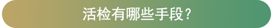 19548_x70p_2853.png